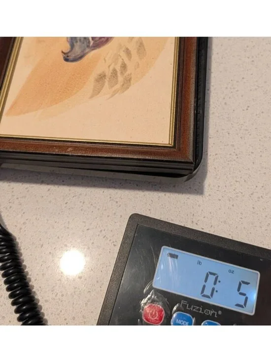 Vintage Framed NZ Pigeon Art John Russell 8.5"x6" Wood Frame bird Rustic Quirky - Picture 14 of 14